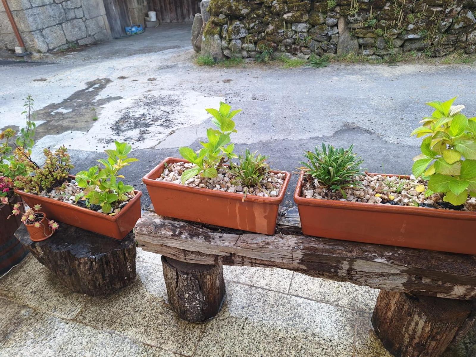 Pension O Corazon Da Ribeira Sacra La Teijeira المظهر الخارجي الصورة
