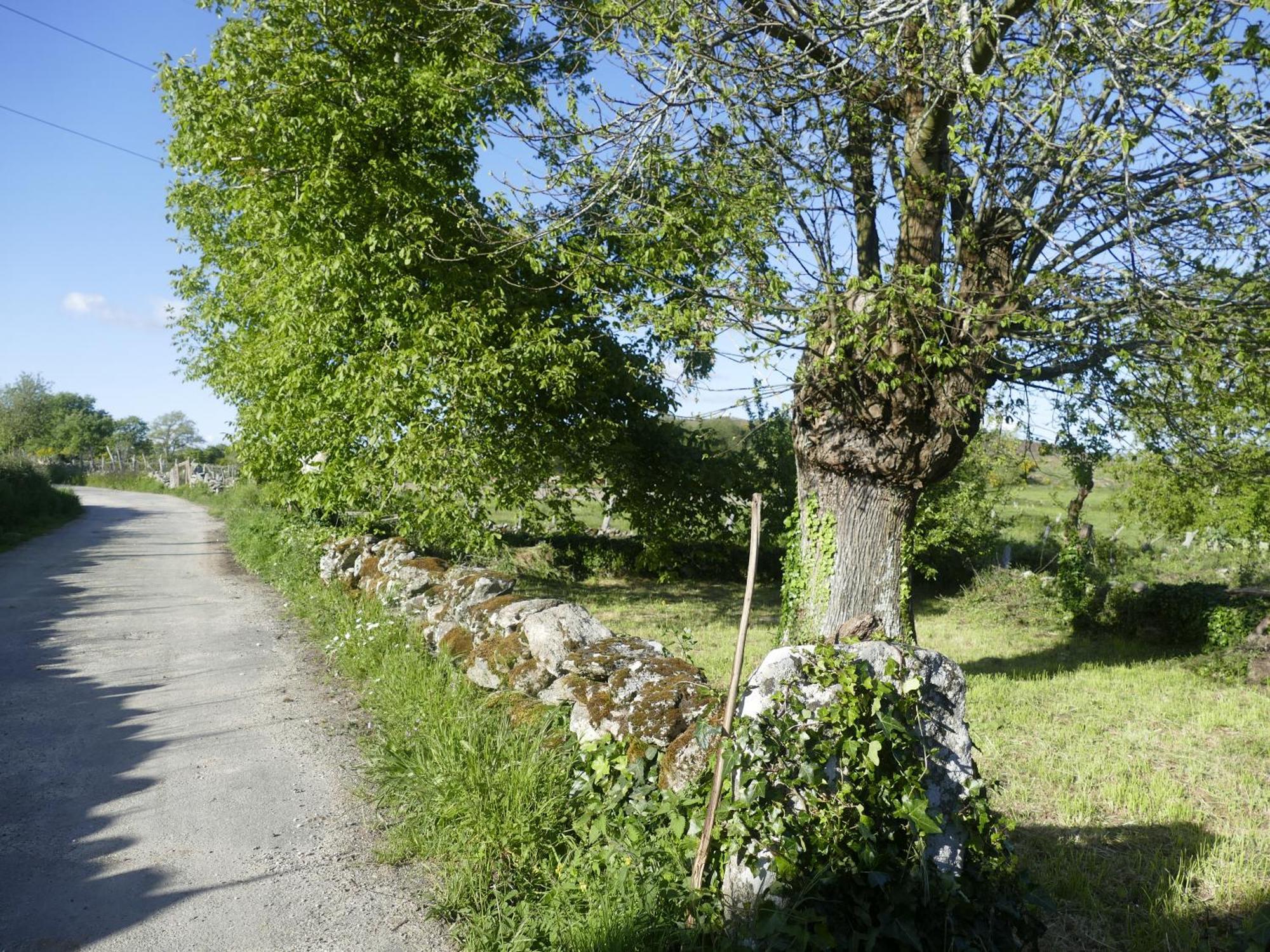 Pension O Corazon Da Ribeira Sacra La Teijeira المظهر الخارجي الصورة